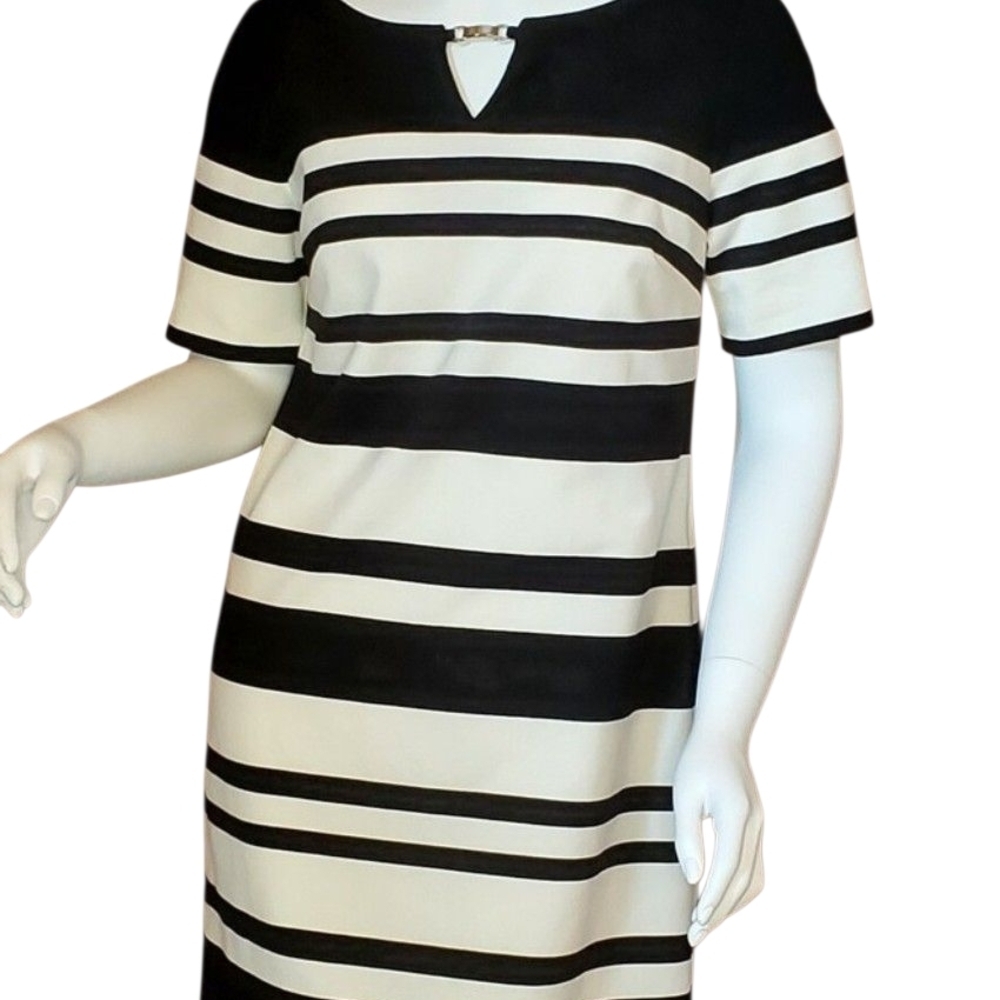 White House Black Market Striped Mini Dress